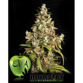 Eva Seeds Monster - x3